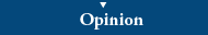 This image indicates that you are on the front page of the Opinion section.